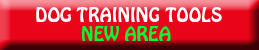 important dog training tools